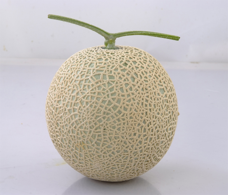 Nishijima Musk Melon