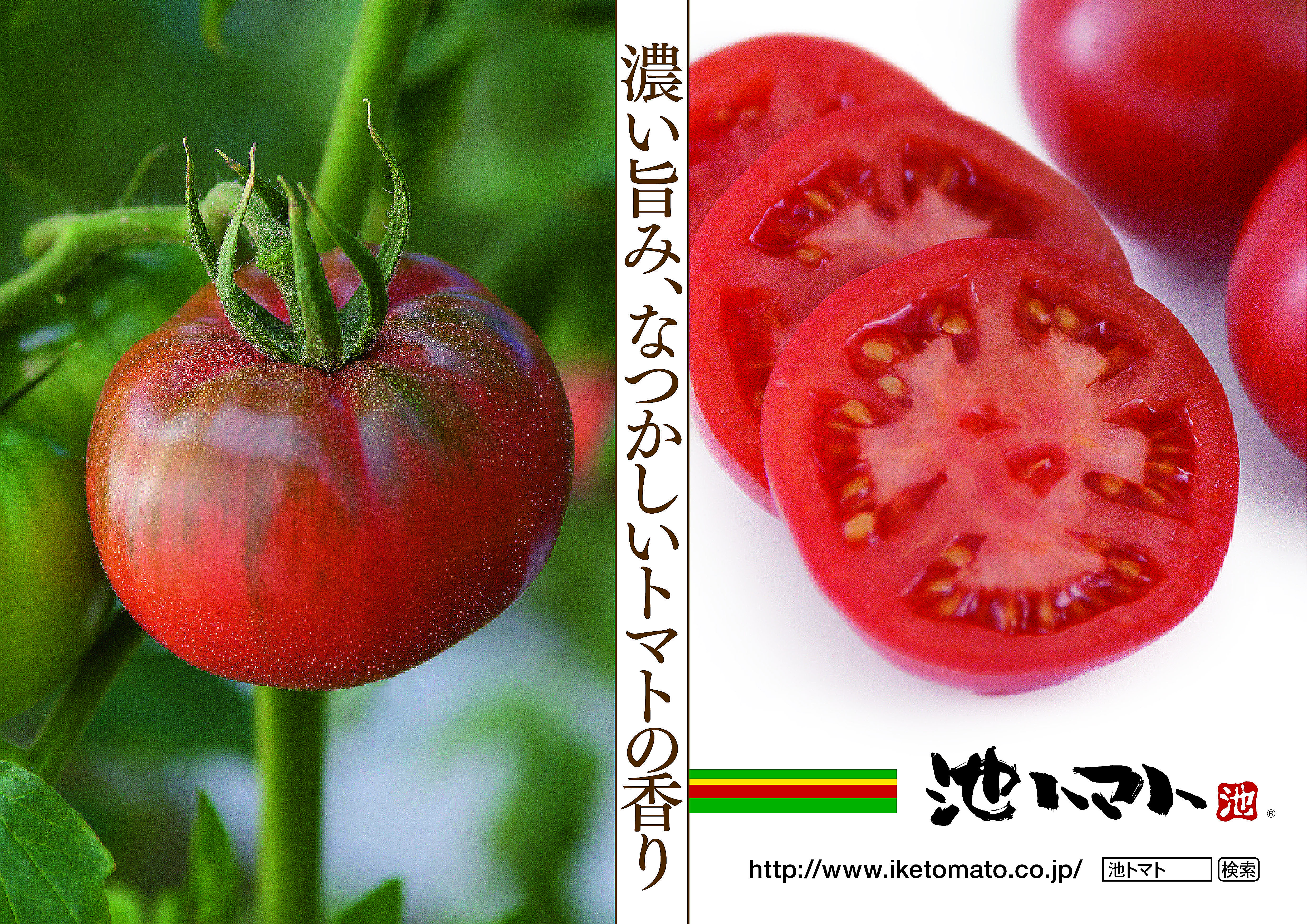 Fruit Tomato