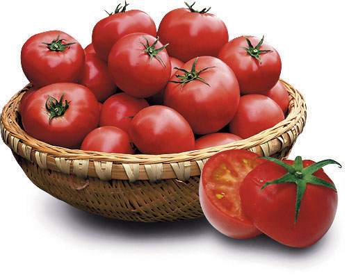 Fruit Tomato