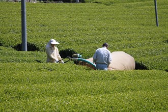 製造工程写真