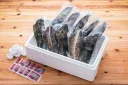 土佐伝統製法　完全ワラ焼き鰹タタキ「龍馬タタキ」業務用