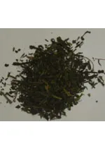 土佐派のお茶その1