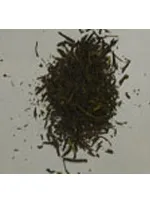 土佐派のお茶その2