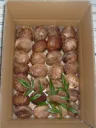 原木生しいたけ B品
