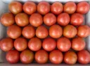 高知県春野町産・フルーツトマト2ｋｇ