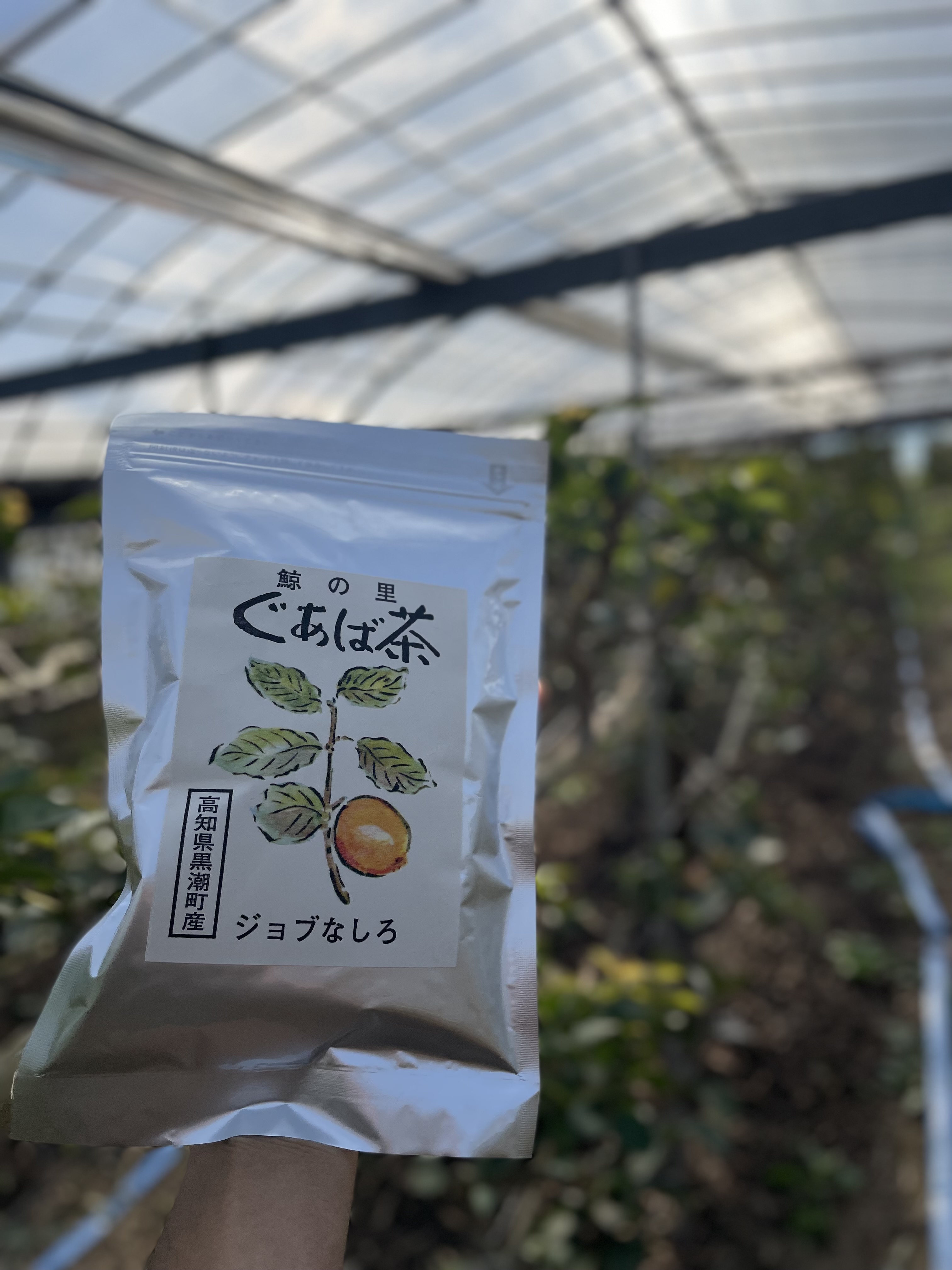 ぐぁば茶　ティーバッグ入り