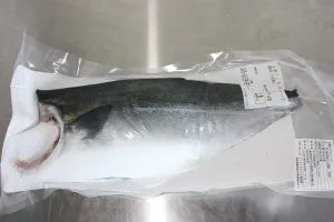 高知県産　養殖ぶり