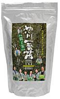 池川一番茶　煎茶　親子茶　500ｇ