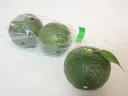土佐ゆず青玉