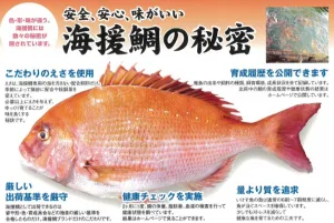 海援鯛