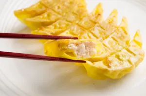 土佐のはちきん地鶏餃子