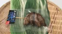 土佐久礼一本釣り　鰹ハランボ串