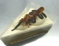 モカショート（冷凍ケーキ）