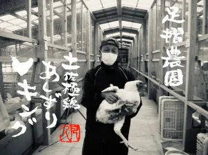 土佐極鶏あしずりキング