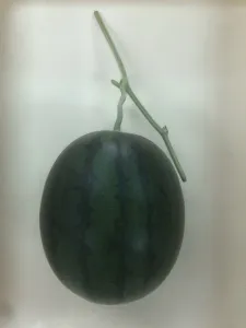 西島小玉スイカ