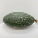 土佐山産有機万次郎かぼちゃ（業務用）