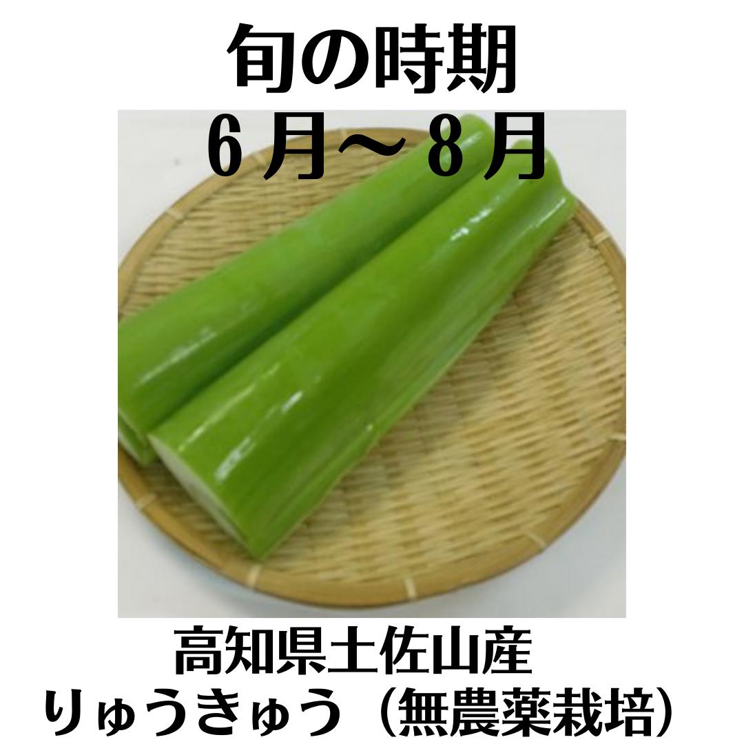 【食材】高知県土佐山産 りゅうきゅう（無農薬栽培）