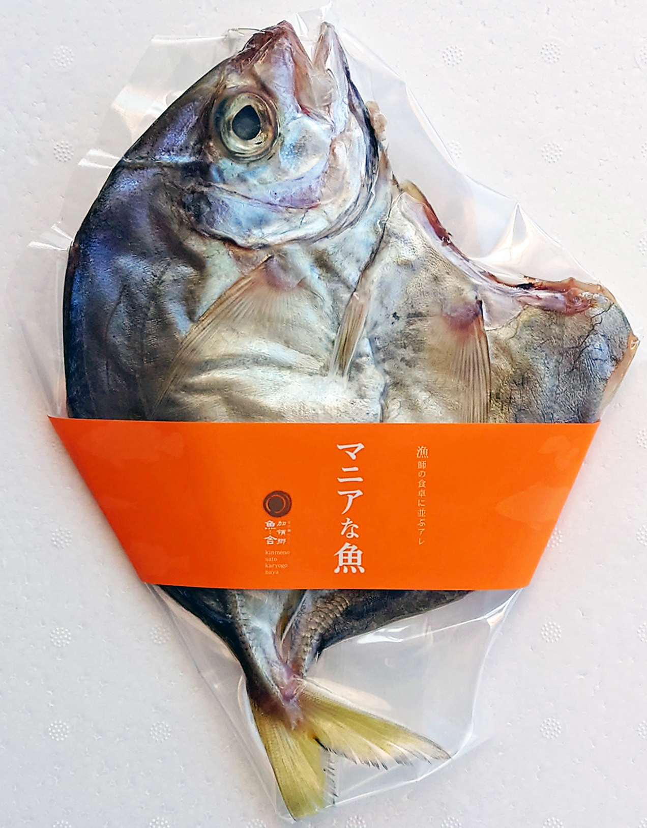 カイワリ　一夜干し（開き）