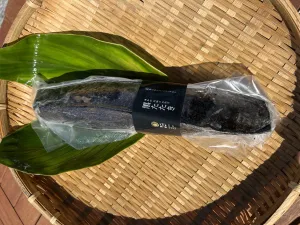魚舎の黒たたき　中（背）