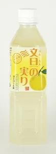文旦の実り