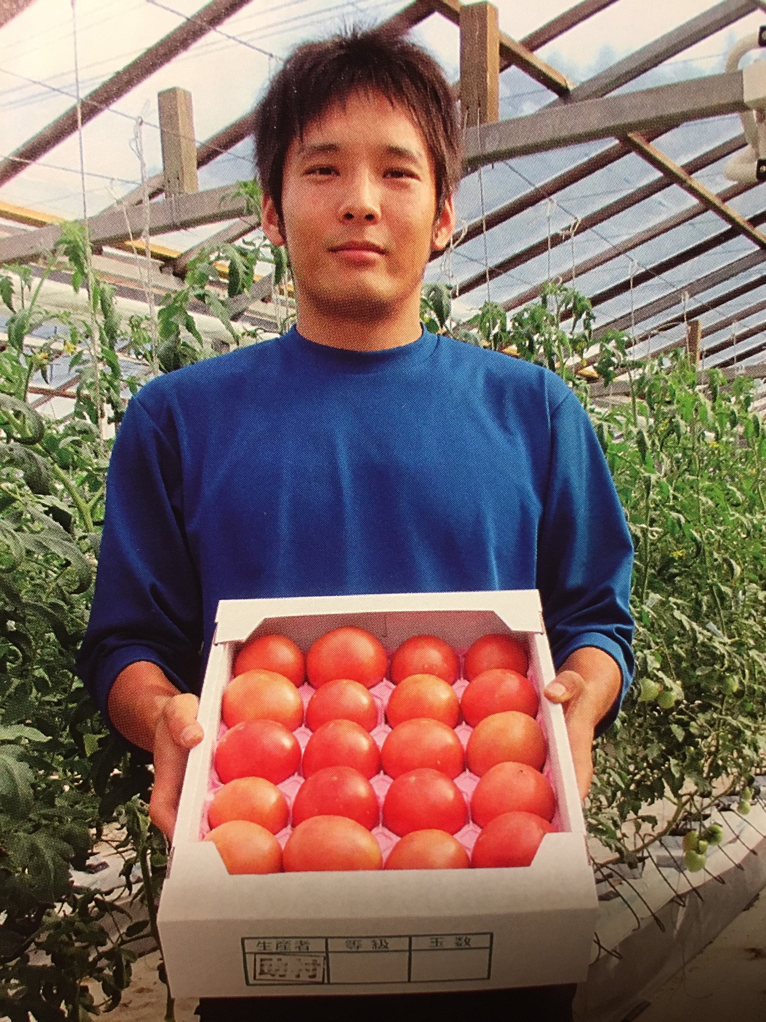 助村農園の大玉トマト