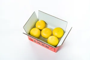 やの一果彩の園主こだわり土佐文旦3ｋｇ（家庭用）（5玉～7玉）