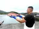真鯛未来