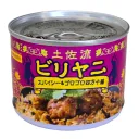 土佐流ビリヤニ　スパイシー＆ゴロゴロ四万十鶏