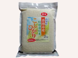 香南市産特別栽培米コシヒカリ
