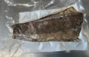 須崎　ブリタタキ