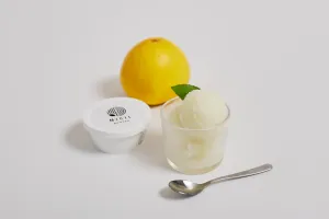 土佐文旦アイス